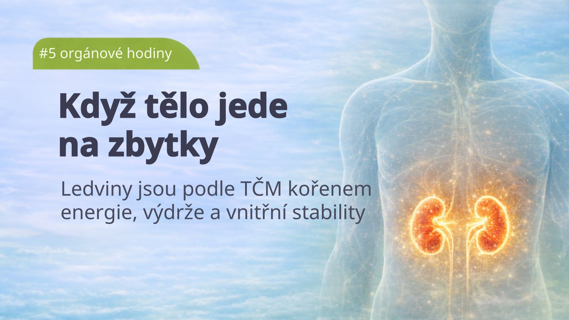 1_organove-hodiny-ledviny