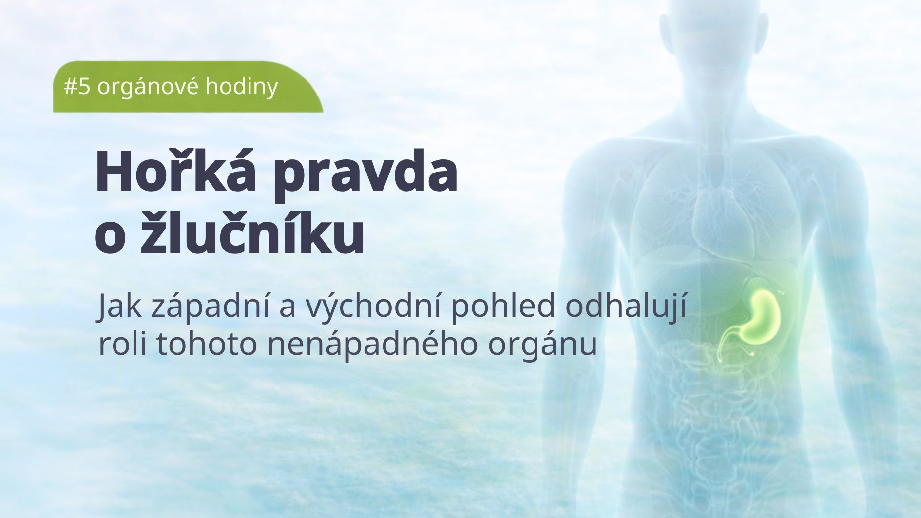 1_organove-hodiny-zlucnik