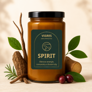 SPIRIT