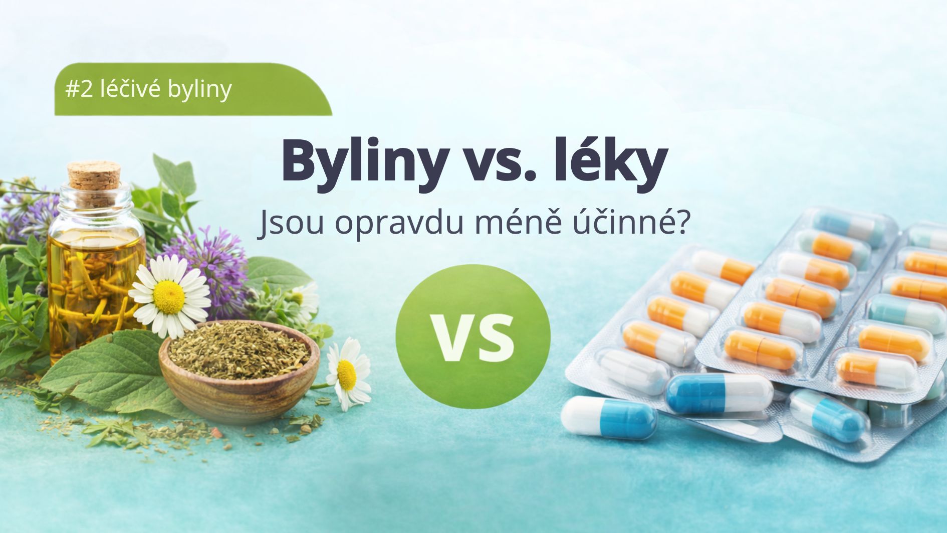 byliny-vs-leky-lecive-byliny-tradicni-cinske-mediciny