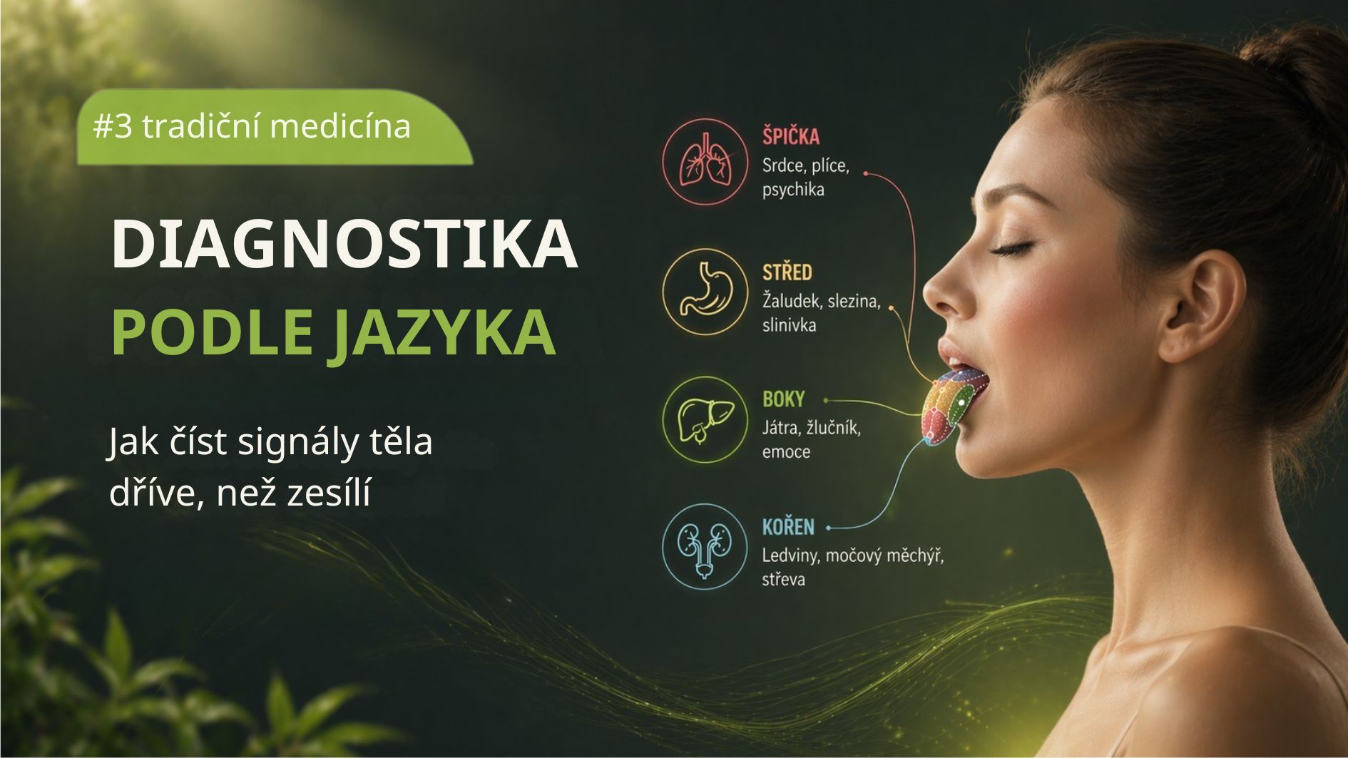 Diagnostika jazyka podle tradiční čínské medicíny VIGRES