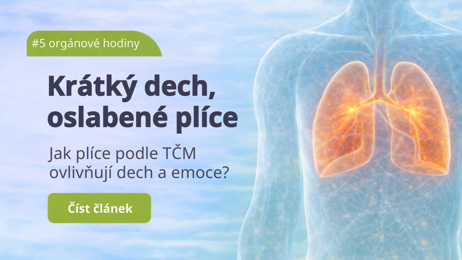 Plíce: Když se dech zkracuje a plíce tiše slábnou