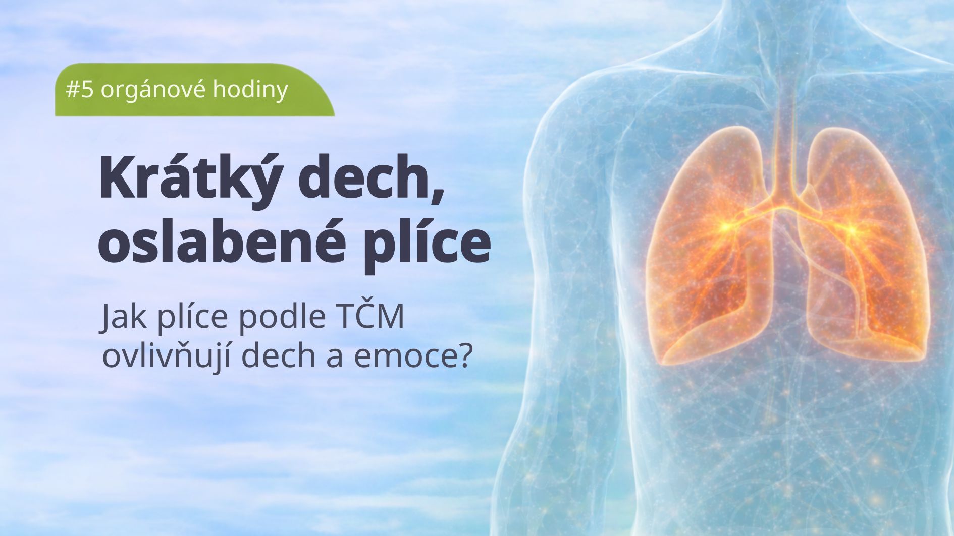 organove-hodiny-plice