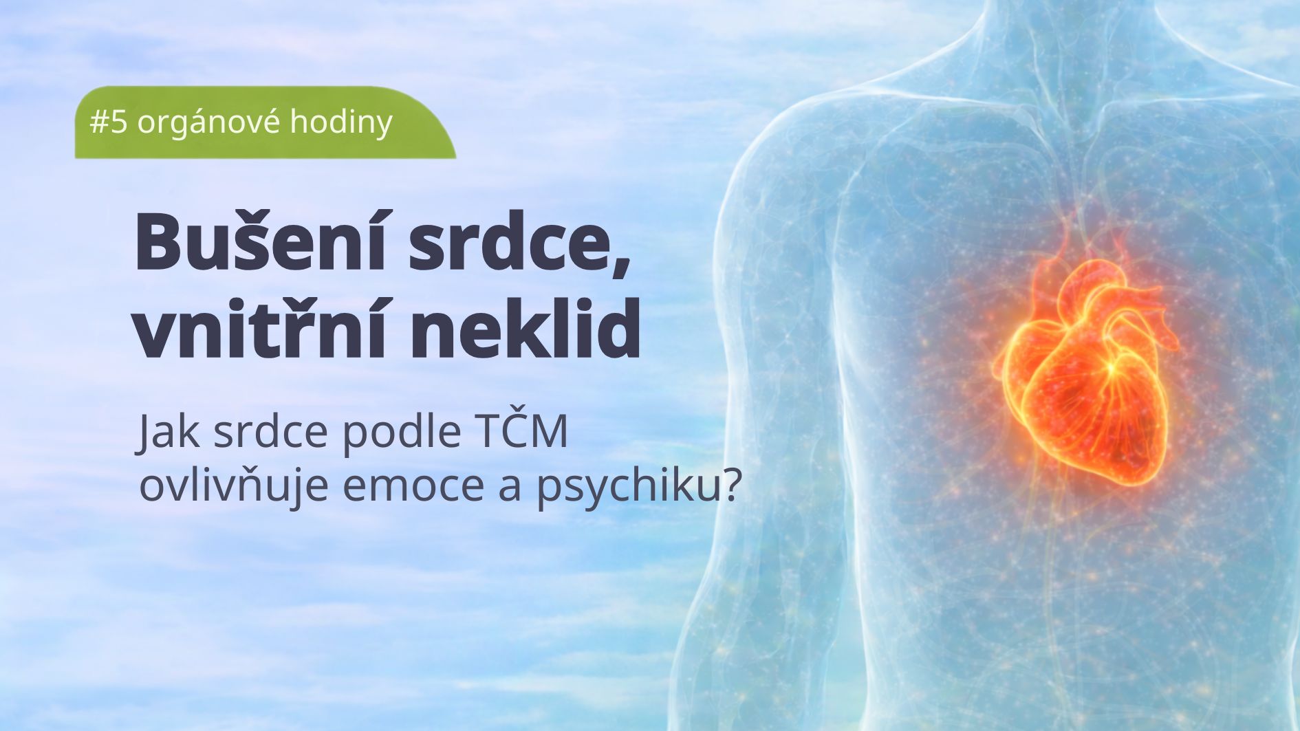 organove-hodiny-srdce