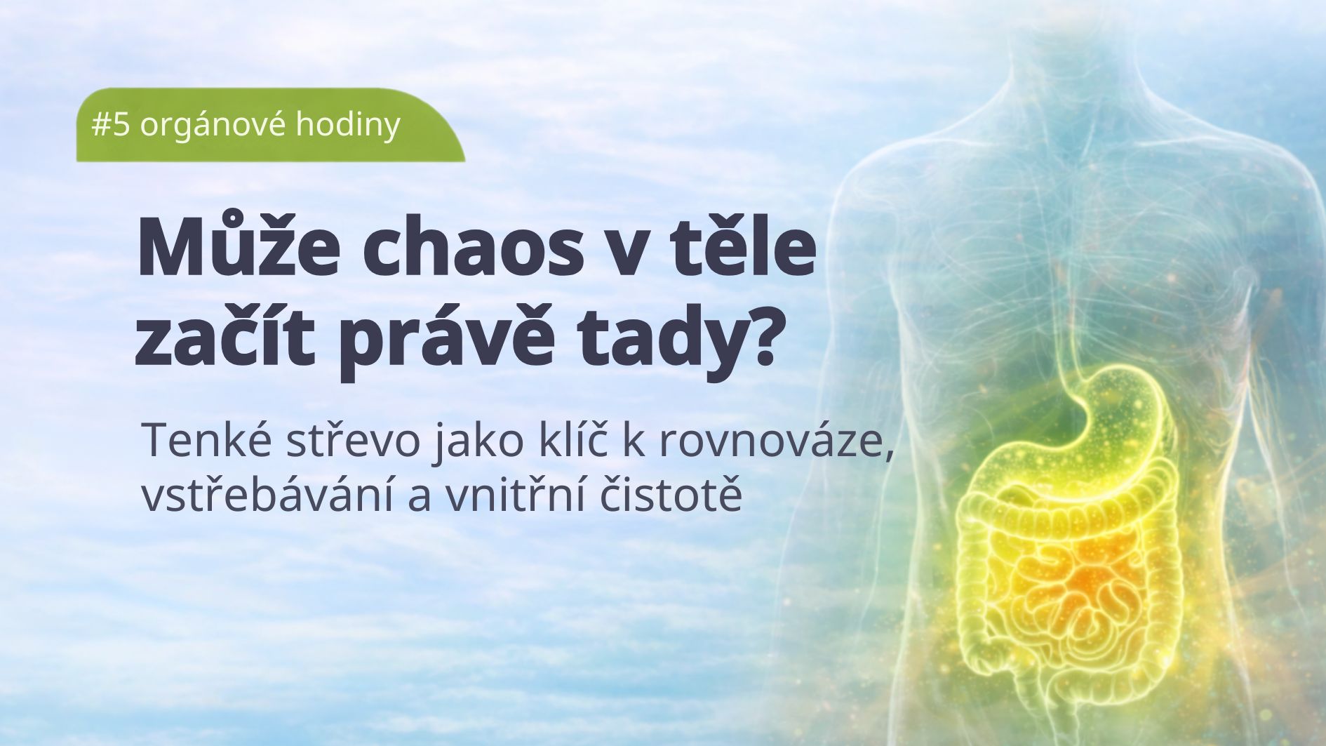 organove-hodiny-tenke-strevo