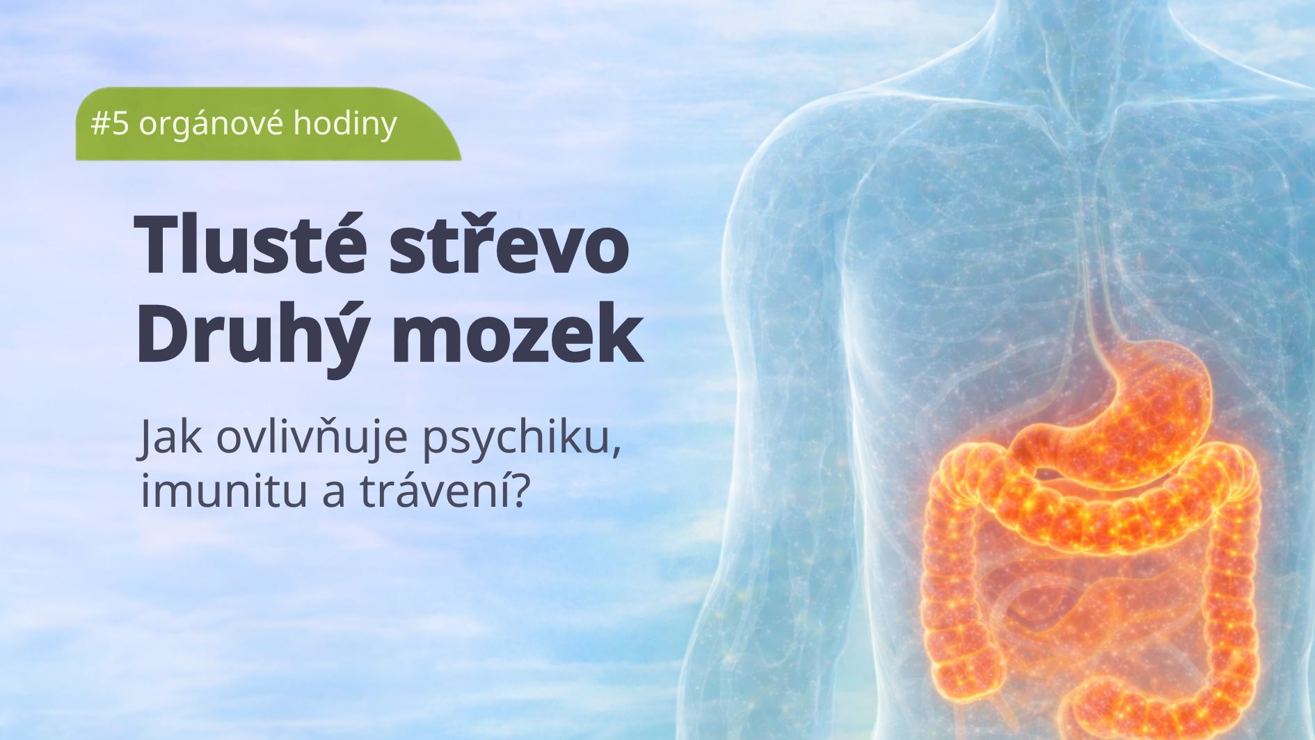 organove-hodiny-tluste-strevo