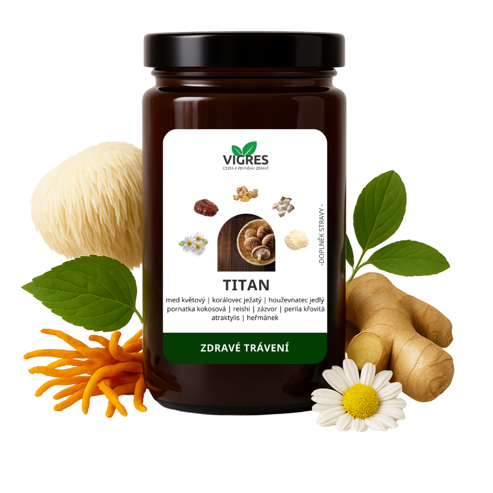 TITAN - podpora žaludku VIGRES