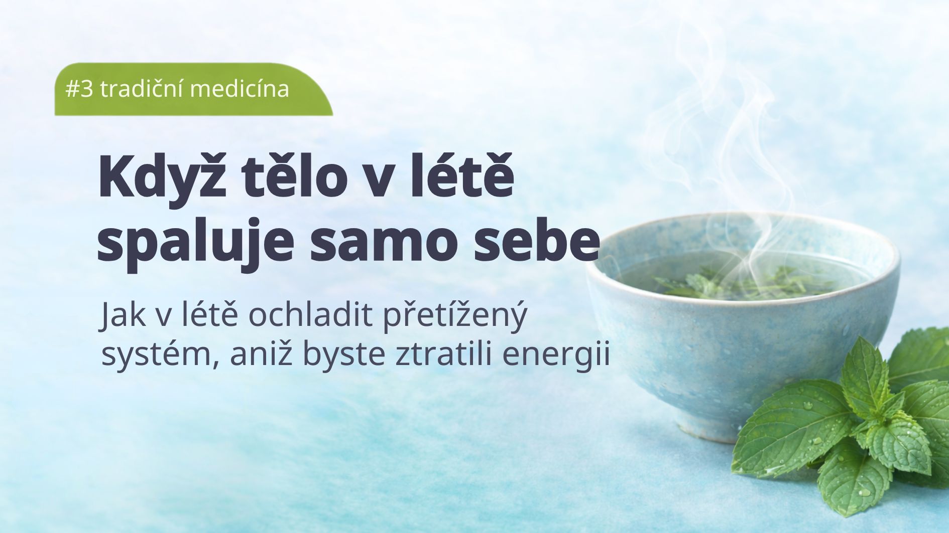 vitalni-houby-leto-a-tradicni-cinska-medicina