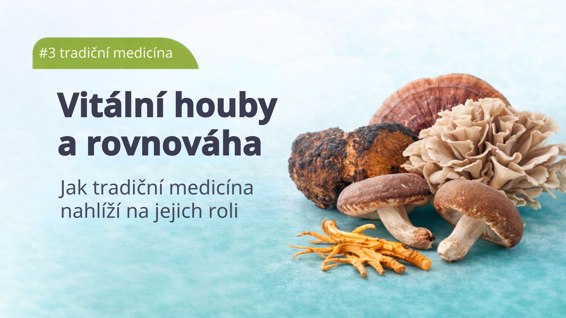 vitalni-houby-tradicni-cinska-medicina