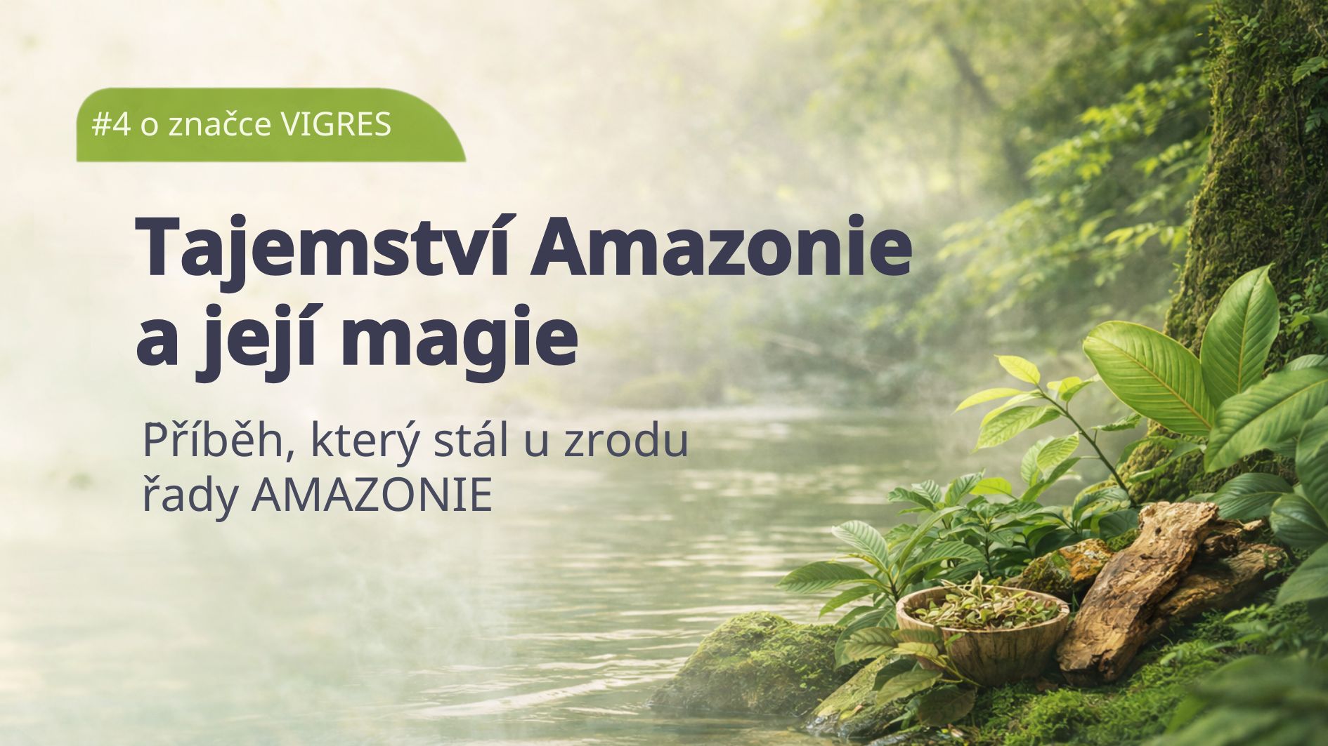 vznik-amazonie-vigres