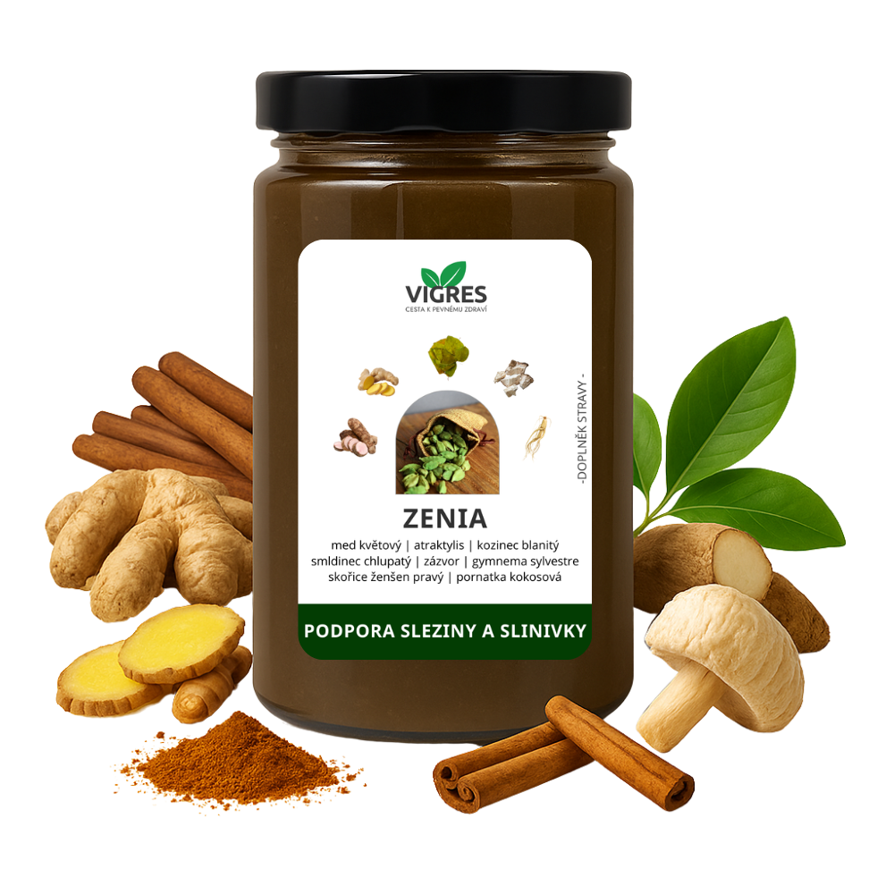 ZENIA - podpora sleziny a slinivky VIGRES
