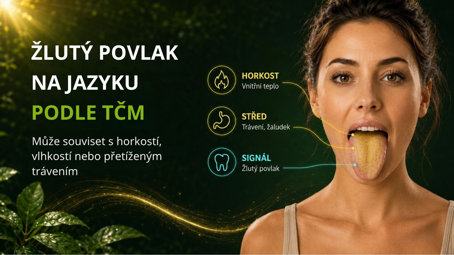 Žlutý povlak na jazyku podle TCM